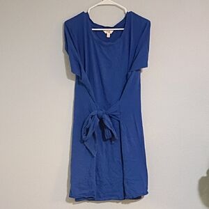 Terra & Sky Vibrant Blue Mini Dress